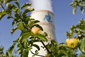 За 6 лет волгодонские атомщики отправили на переработку почти 170 тонн макулатуры 